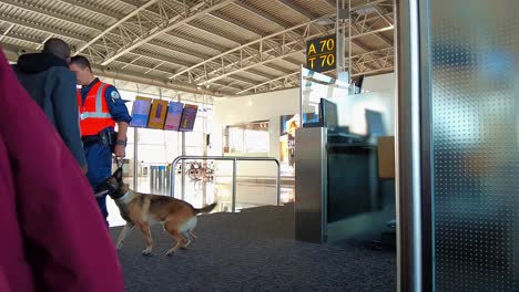 Cámara-Lenta-De-Seguridad-Del-Aeropuerto-Con-Perro-Rastreador-Canino-Interrogando-A-Un-Viajero-Negro-Africano