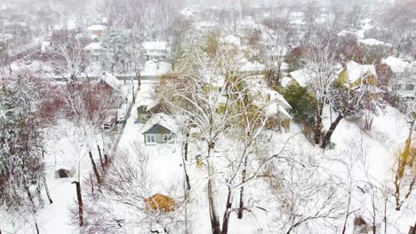 Aerial-drone-shot-descending-on-tall-trees-in-the-back-garden-of-a-residential-property-covered-in-snow-and-ice-as-the-snow-continues-to-fall