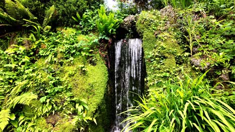 Jardines-Powerscourt-Cascada-De-Wicklow-Jardines-Japoneses-En-El-Jardín-De-Irlanda-Lugares-épicos