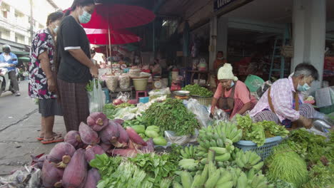 A-local-woman-tends-her-vibrant-vegetable-stall,-featuring-fresh-greens,-ripe-tomatoes,-crisp-cucumbers,-and-fragrant-herbs