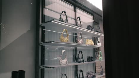 Luxury-handbags-displayed-on-shelves-in-a-stylish-boutique