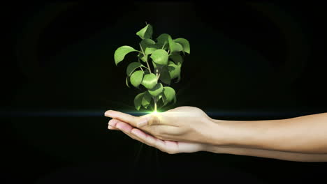 Hands-presenting-digital-green-plant-growing