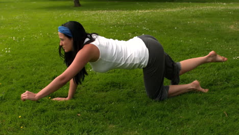 Hübsche-Brünette-Macht-Yoga-Im-Park