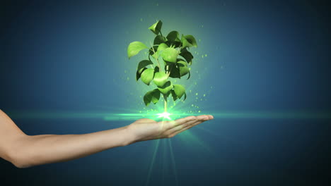 Hand-presenting-digital-green-plant-growing