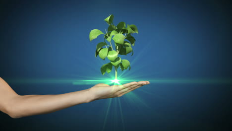 Hand-presenting-digital-green-plant-growing