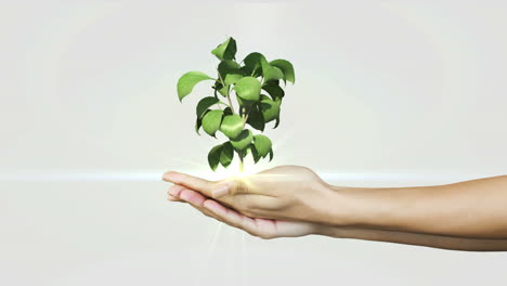 Hands-presenting-digital-green-plant-growing