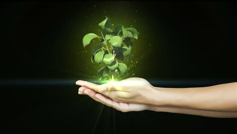 Hands-presenting-digital-green-plant-growing