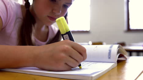 Schoolgirl-studying-at-desk-in-school