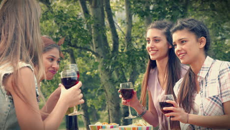 In-Hoher-Qualität-Format-Glückliche-Freunde-Im-Park-Beim-Mittagessen