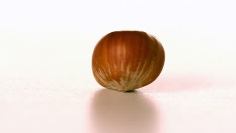 Nut-spinning-on-white-surface