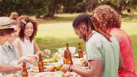 In-Zeitlupe-Glückliche-Freunde-Im-Park-Beim-Mittagessen