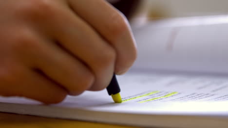 Schoolgirl-studying-at-desk-in-school