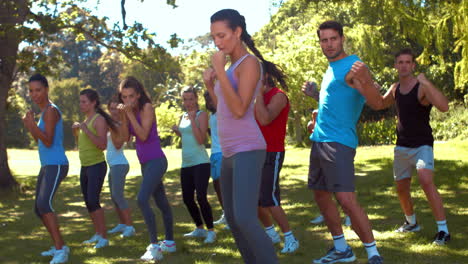 En-Formato-De-Alta-Calidad,-Grupo-De-Fitness-Trabajando-En-El-Parque.-