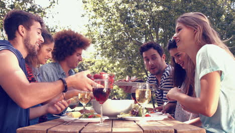 In-Hoher-Qualität-Format-Glückliche-Freunde-Im-Park-Beim-Mittagessen