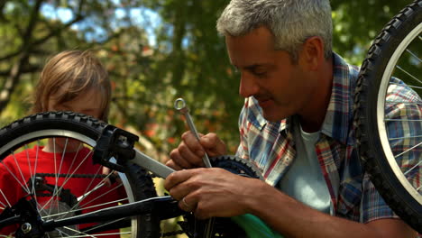 Vater-Und-Sohn-Reparieren-Fahrrad-Im-Park