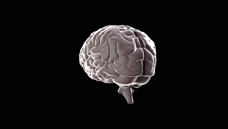 Brain-spinning-on-black-background