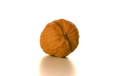 Walnut-spinning-on-white-surface