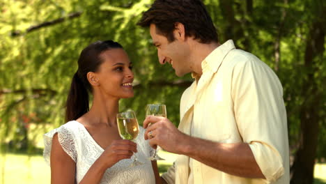 Pareja-Romántica-Tomando-Vino-En-El-Parque