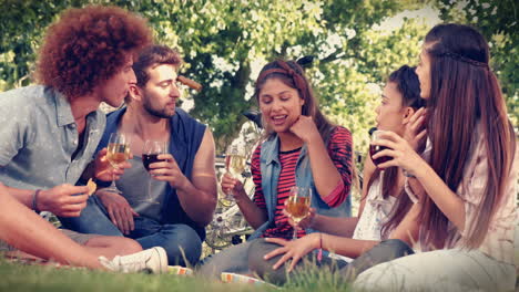 In-Hoher-Qualität-Format-Glückliche-Freunde-Im-Park-Mit-Picknick