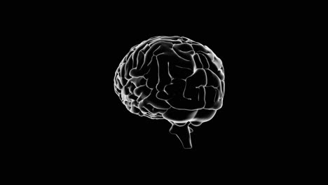 Brain-spinning-on-black-background