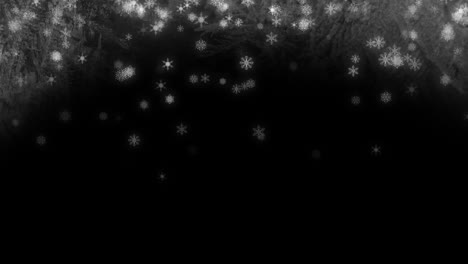 White-snowflakes-falling-on-black-background