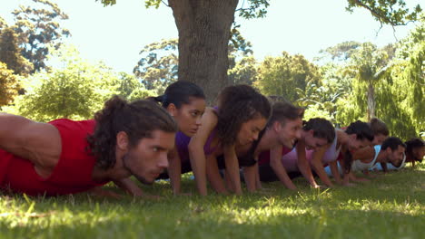 En-Formato-De-Alta-Calidad,-Grupo-De-Fitness-Haciendo-Flexiones-En-El-Parque.-