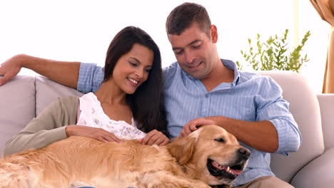 Happy-couple-with-their-dog-at-home