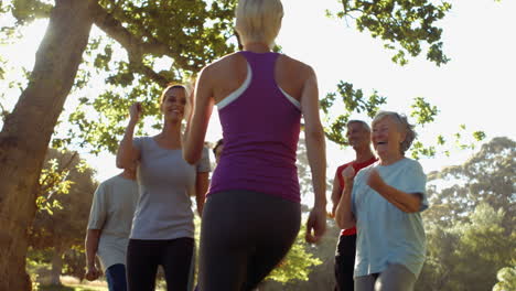 Fitnessgruppe-Trainiert-Im-Park