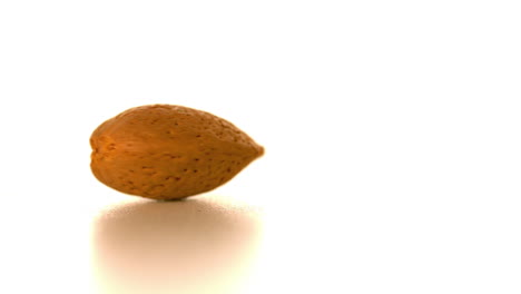 Almond-spinning-on-white-surface