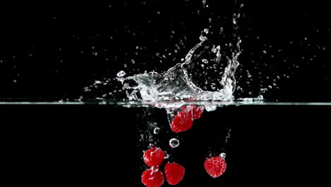 Raspberries-falling-in-water-on-black-background