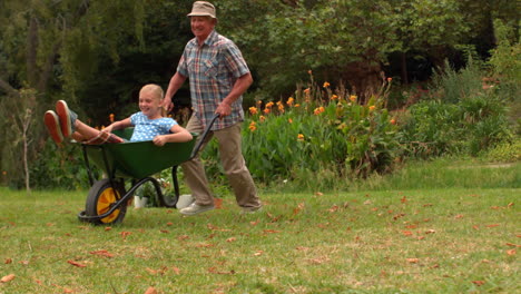 Happy-grandfather-and-his-granddaughter-with-a-wheelbarrow