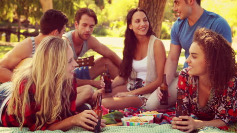 Amigos-Felices-En-El-Parque-Haciendo-Picnic-Y-Tocando-La-Guitarra.