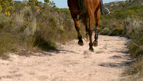 Pretty-woman-riding-on-a-horse