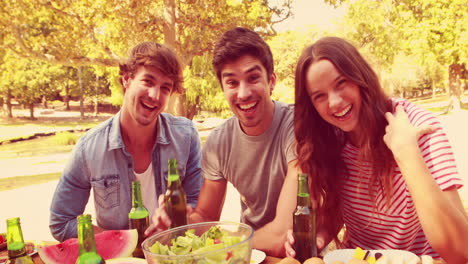 Glückliche-Freunde-Stoßen-Beim-Mittagessen-Im-Park-Zusammen-An