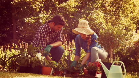 Glückliches-Paar-Bei-Der-Gartenarbeit-Im-Park