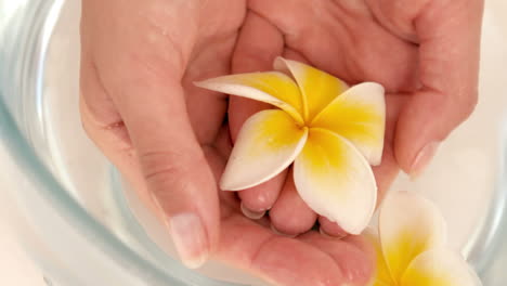 Woman-holding-flower-in-her-hands