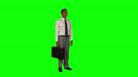 Businessman-standing-with-his-briefcase