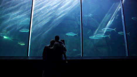 Familia-Feliz-Mirando-Peces-