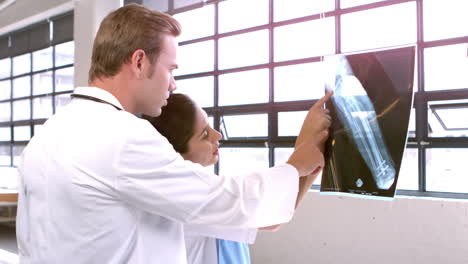 Female-doctor-showing-x-ray-to-her-colleague