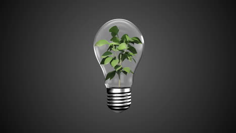 Hands-presenting-light-bulb-with-plant