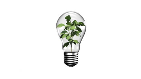 Glühbirne-Mit-Wachsender-Pflanze