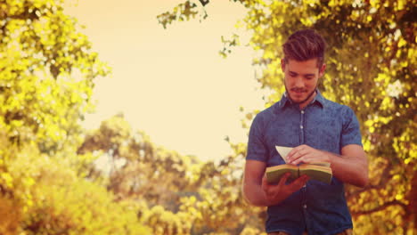 Handsome-man-reading-a-book-in-the-park