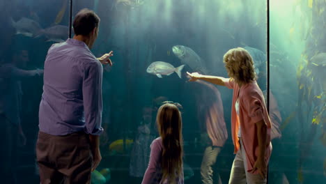 Familie-Zeigt-Auf-Fische-Im-Aquarium