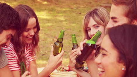 Glückliche-Freunde-Stoßen-Beim-Mittagessen-Im-Park-Zusammen-An