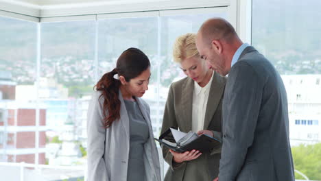 Business-people-looking-at-notebook-