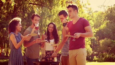 Amigos-Felices-En-El-Parque-Haciendo-Barbacoa