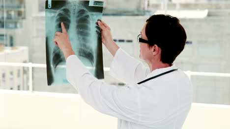 Doctor-analyzing-xray-results