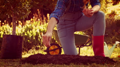 Woman-digging-soil-and-planting-flower