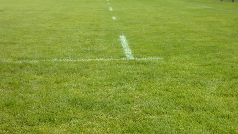 View-of-sports-lines