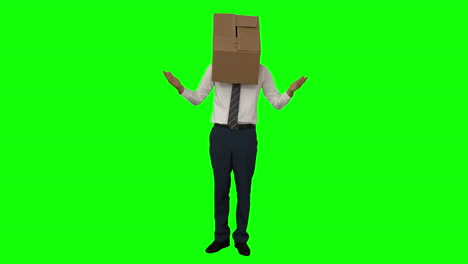 Businessman-standing-with-box-over-his-head